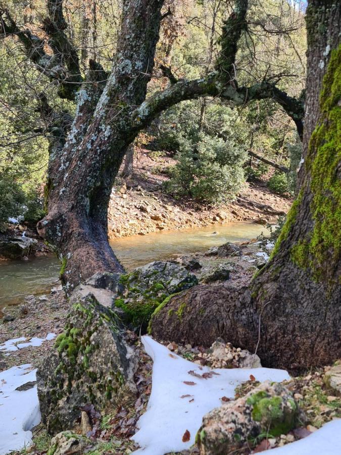 La Pommeraie D'Ifrane Exteriör bild