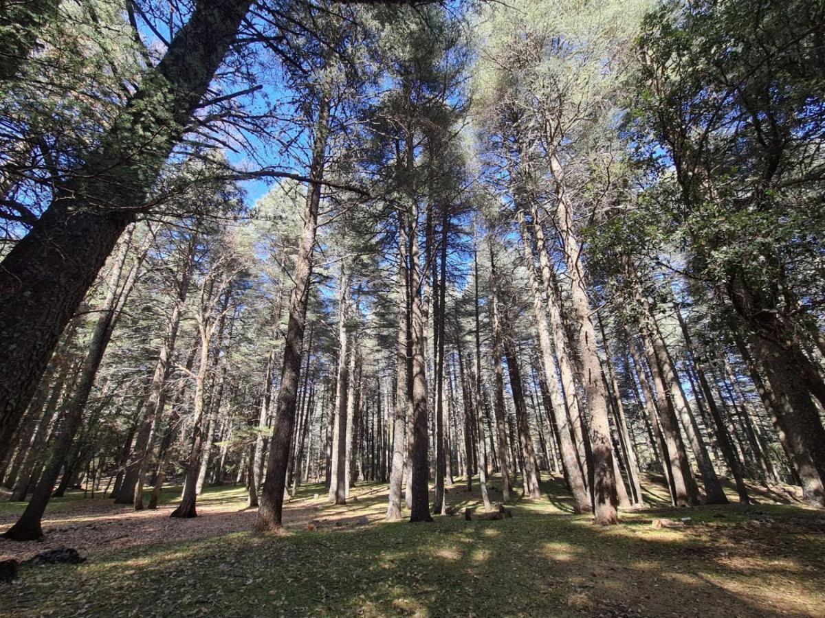 La Pommeraie D'Ifrane Exteriör bild