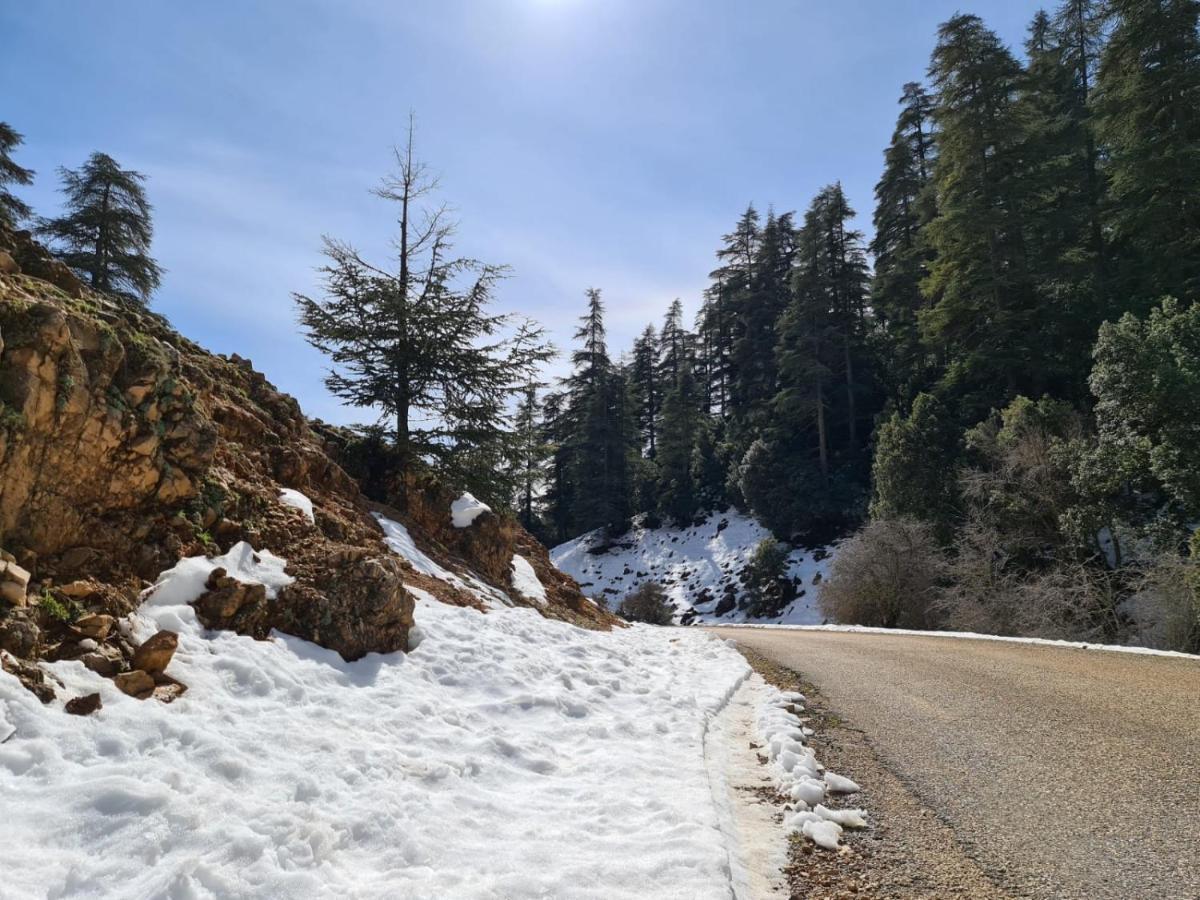 La Pommeraie D'Ifrane Exteriör bild