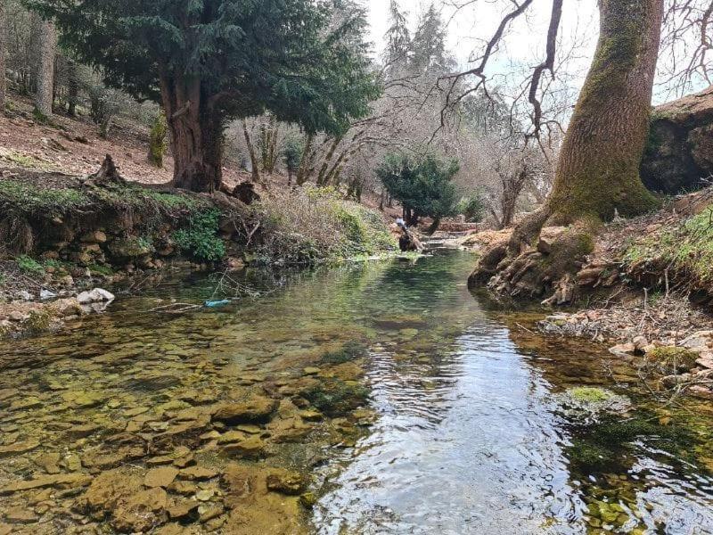 La Pommeraie D'Ifrane Exteriör bild