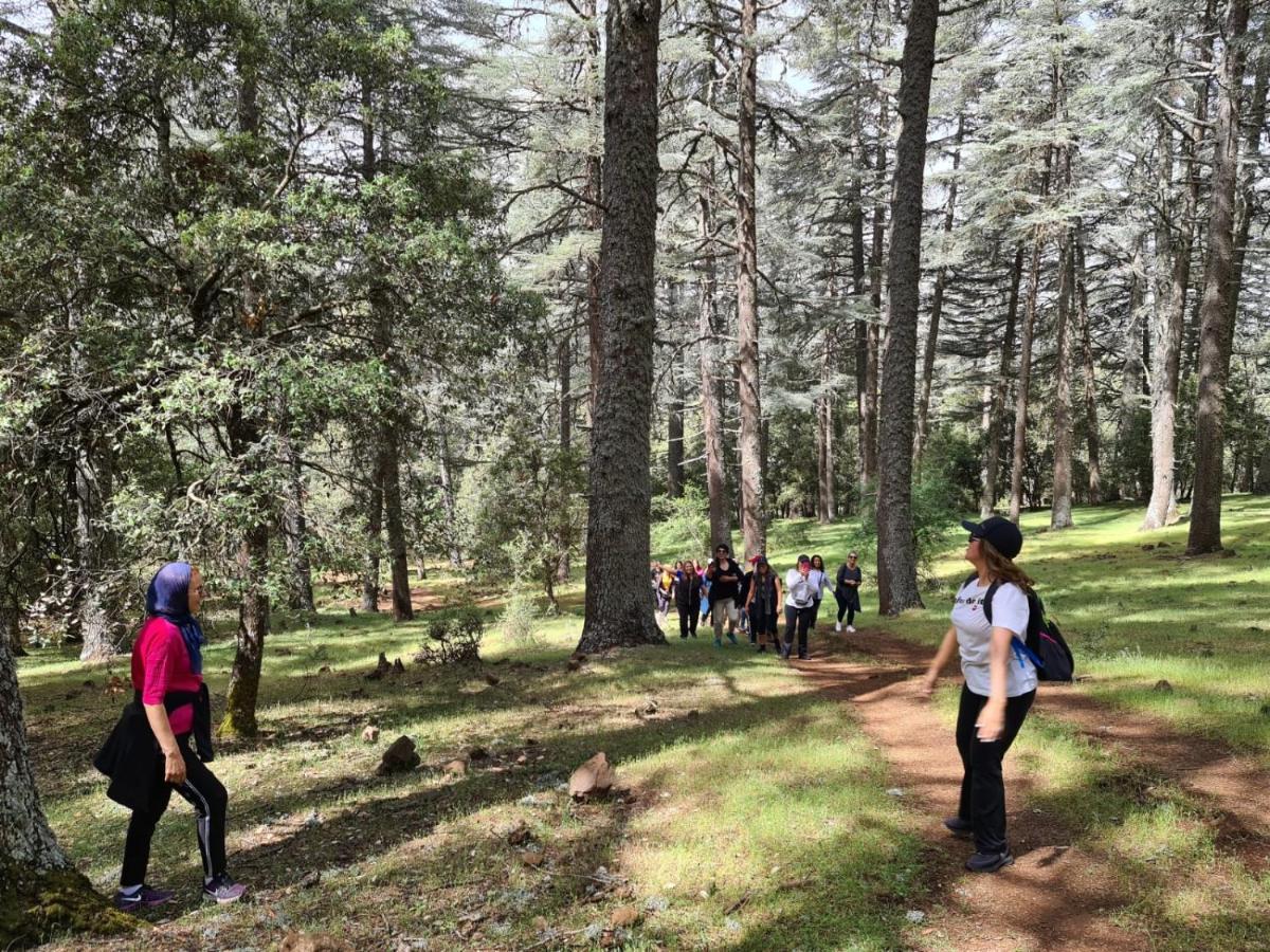 La Pommeraie D'Ifrane Ifrane  Exteriör bild