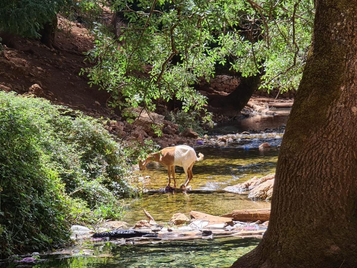 La Pommeraie D'Ifrane Exteriör bild